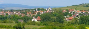 Ingelheim am Rhein