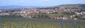 Weingut Eppert